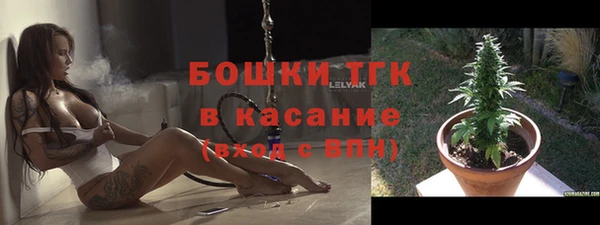молекула духа Горняк