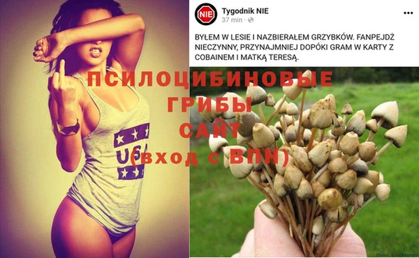 молекула духа Горняк