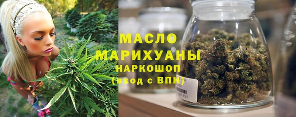 молекула духа Горняк